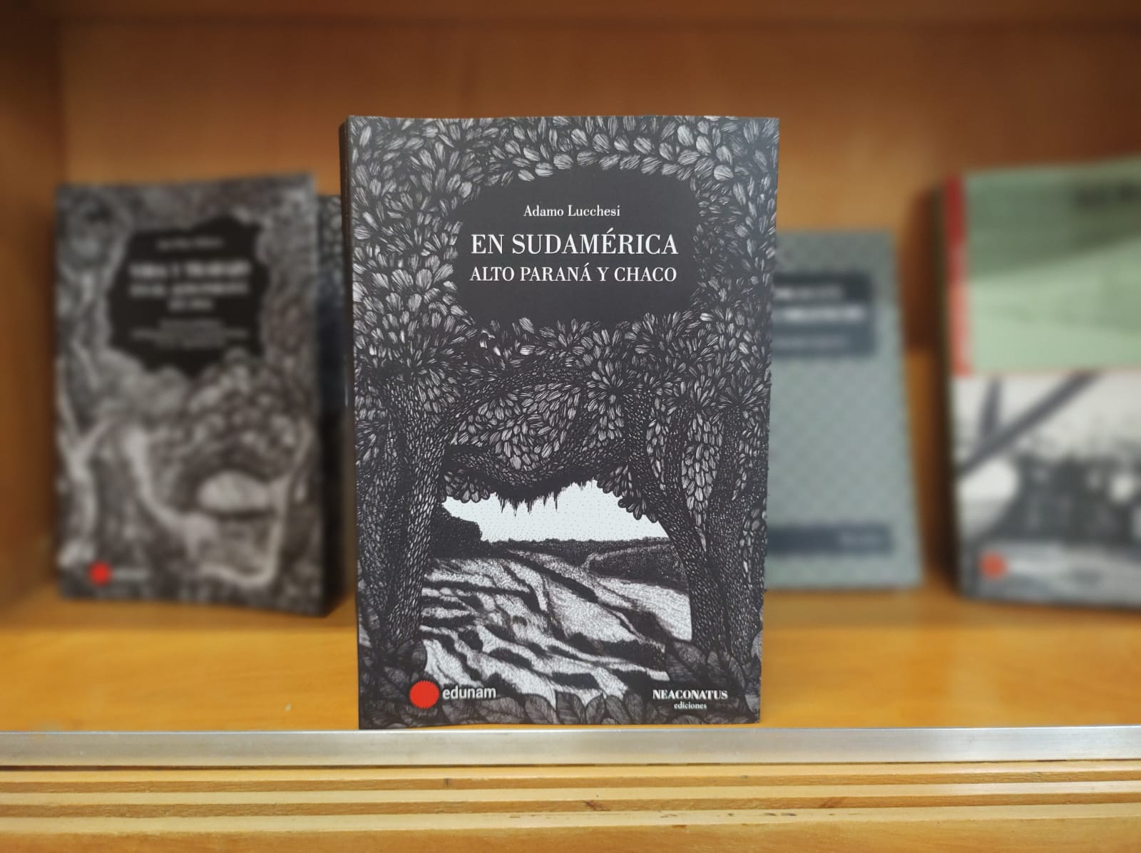 Presentación del libro "En Sudamérica. Alto Paraná y Chaco" de Adamo Lucchesi